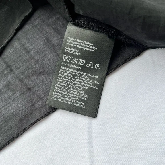 H&M | Sheer Ruffle Sleeveless Top - Picture 14 of 16